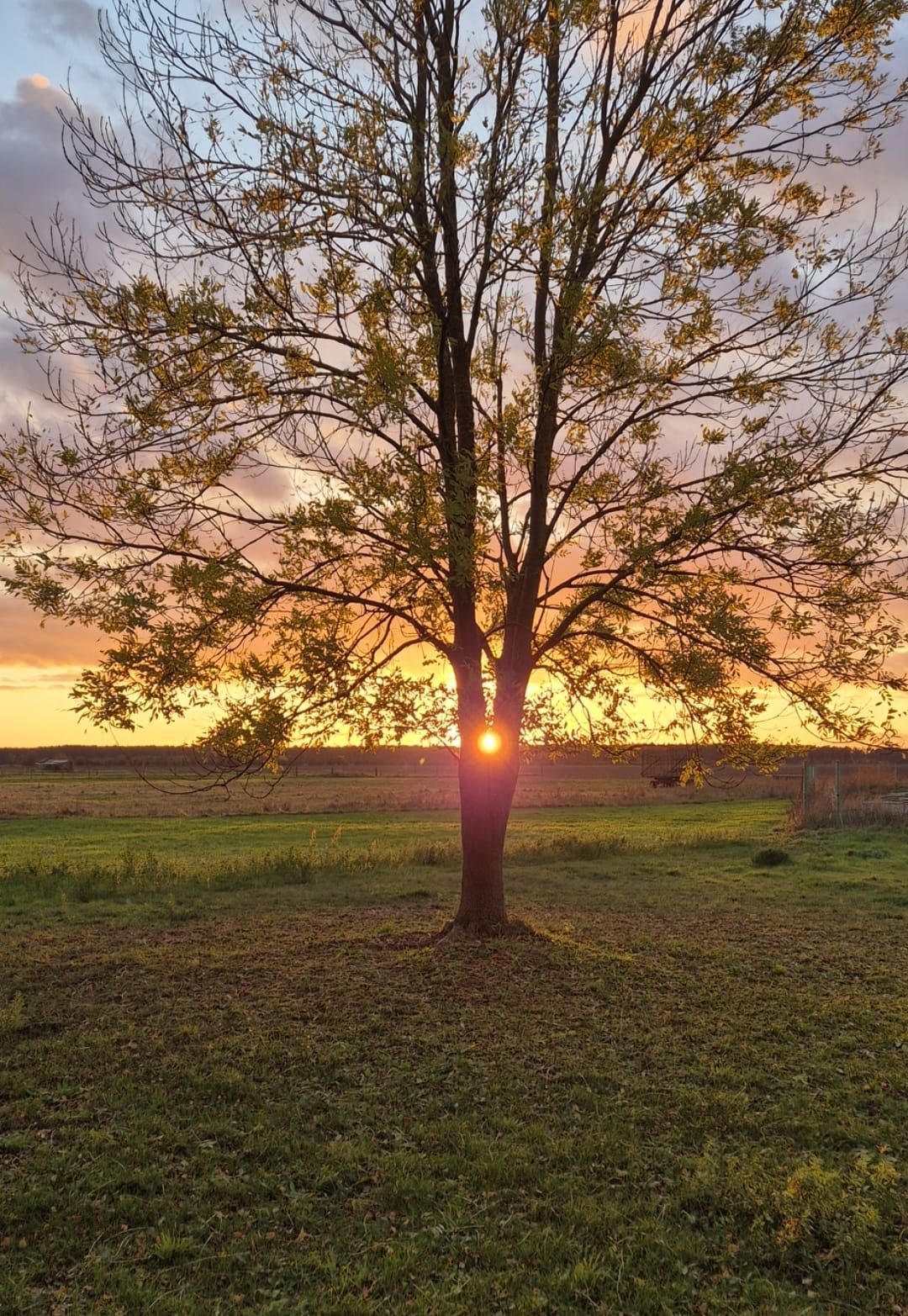 Symbolbild für die Leistung Sterbebegleitung